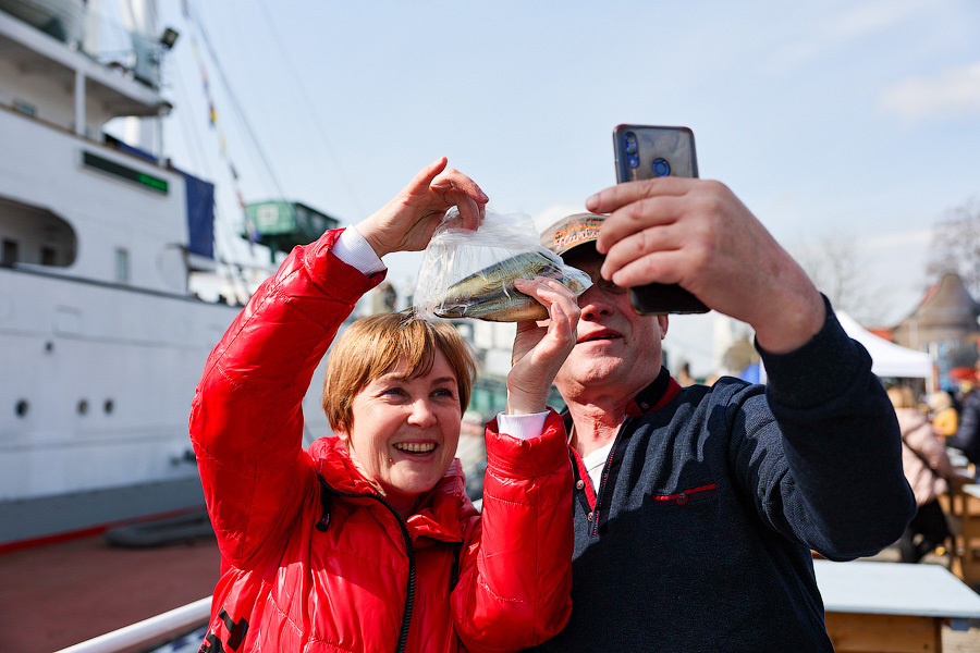 Селедка под сакурой: как прошел самый известный в России калининградский праздник (фото)