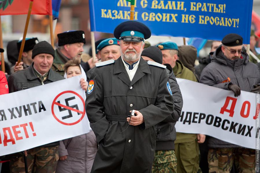 «Дежурный демагог взахлёб о чём-то врёт»: как в Калининграде митинговали за Крым (видео)