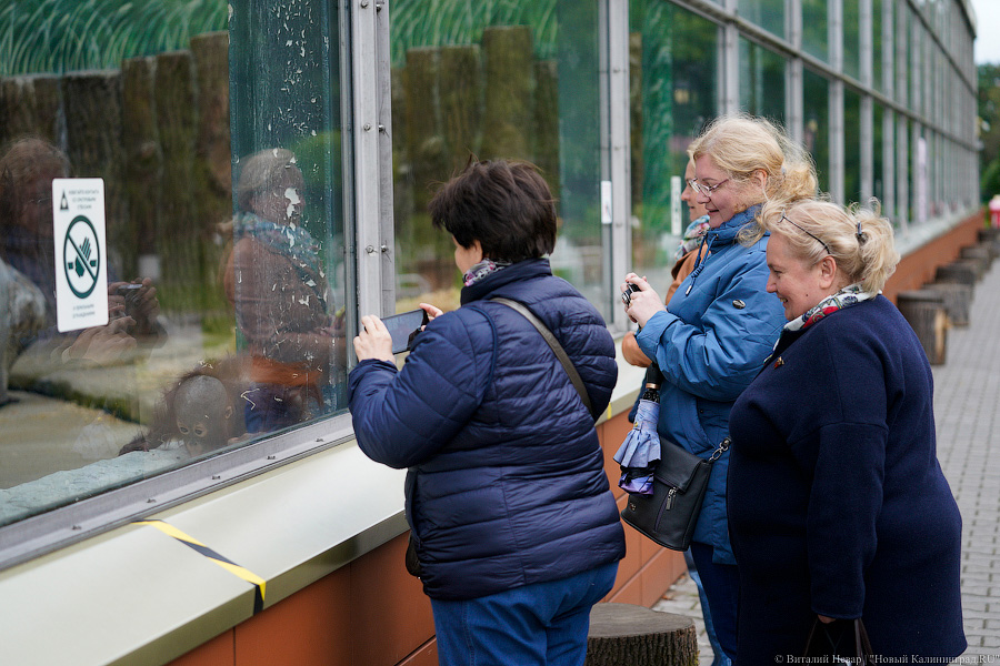 Вот компания какая: Калининградский зоопарк открыл все павильоны для посетителей