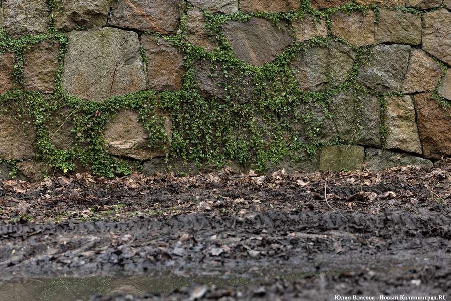 Непролазная грязь: как выглядит берег Литовского ручья в ожидании реновации (фото)