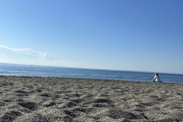 Калининградцы выбирают Сочи для отдыха на Черном море