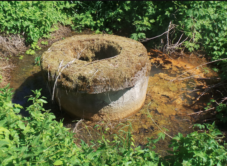 Росприроднадзор: гурьевский водоканал сбрасывал неочищенные стоки в Родниках