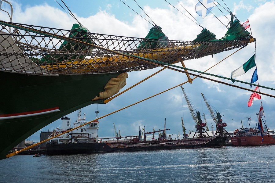 «Александр фон Гумбольдт II»: в Калининграде ошвартовался немецкий барк (фото)