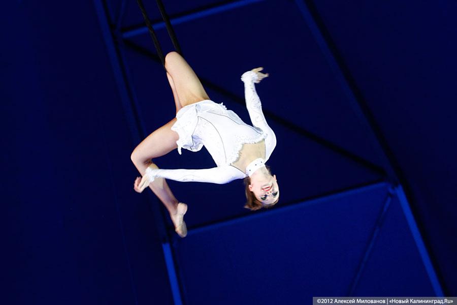 «Цирк в подарок»: фоторепортаж c премьеры цирковой программы