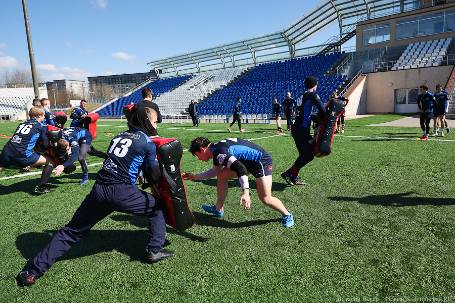 «Балтийский шторм»: в Калининградской области создали профессиональную команду по регби (фото)