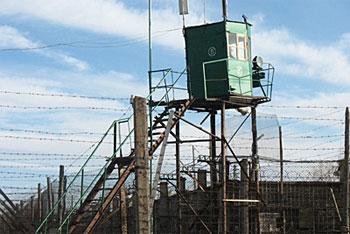  В Калининградской области по амнистии в мае освободились 82 заключенных