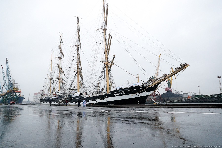 Ураган в паруса: «Крузенштерн» и «Седов» проводили в кругосветное плавание (фото)