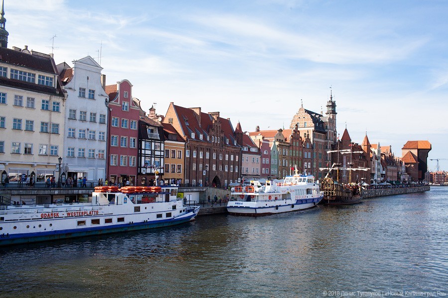 Фото — Денис Туголуков, «Новый Калининград»