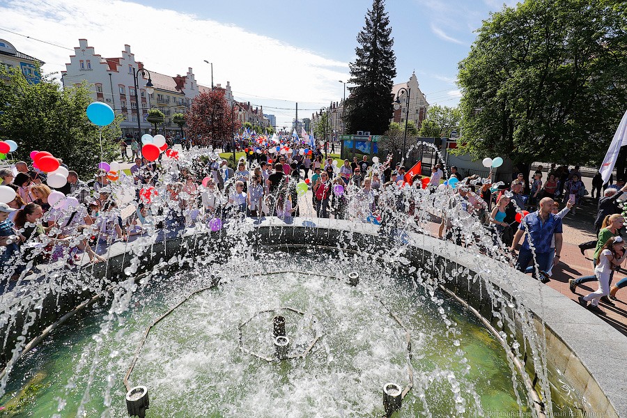 И официальные лица: в Калининграде прошло шествие за достойный труд