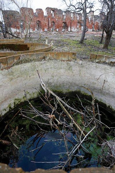 «Судьба замка под вопросом»: из-за кризиса могут рухнуть остатки Бранденбурга