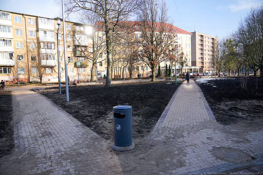 Как выглядит обновленная пешеходная зона на улице Рокоссовского без снега (фото)