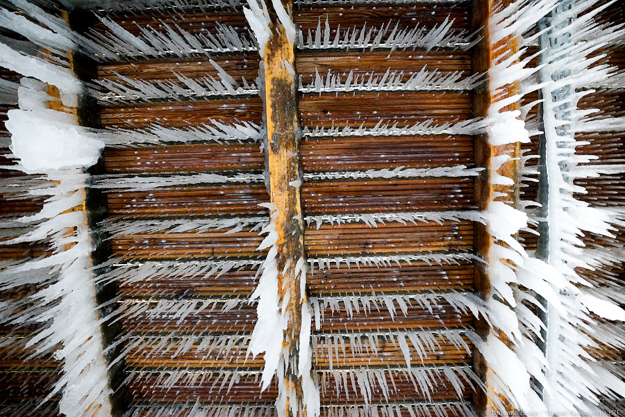 «Местами до минус десяти»: в Калининградской области обещают ночные заморозки