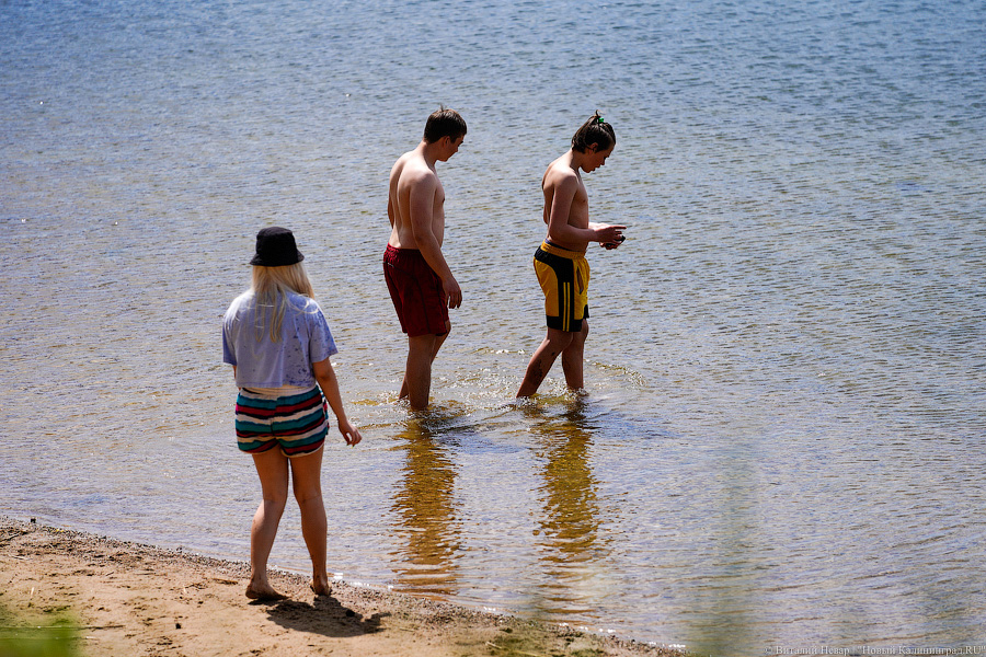 «Не врите мне»: фекалии в воде не портят отдых калининградским купальщикам (фото)