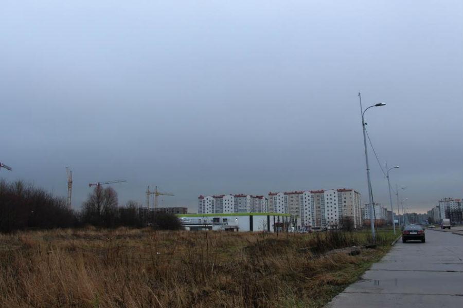 Фото пресс-службы администрации Калининграда