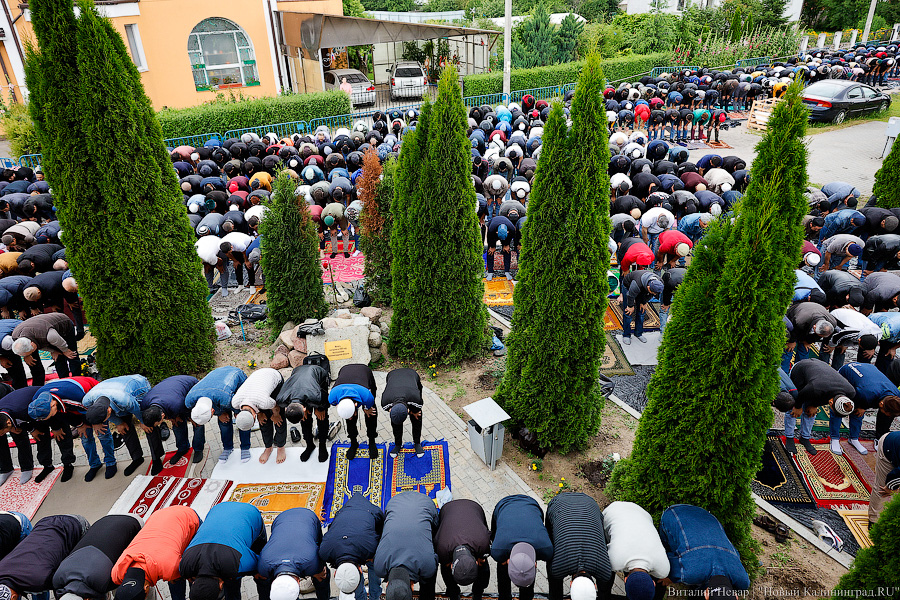 Главный праздник: мусульмане Калининградской области отмечают Курбан-байрам (фото)