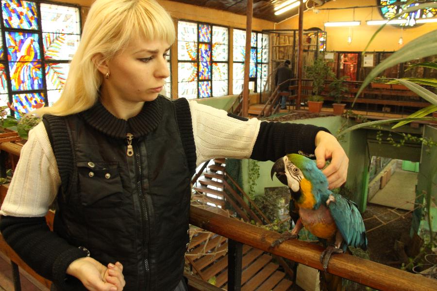 Калининградский попугай победил стресс под песни Шнура (видео)
