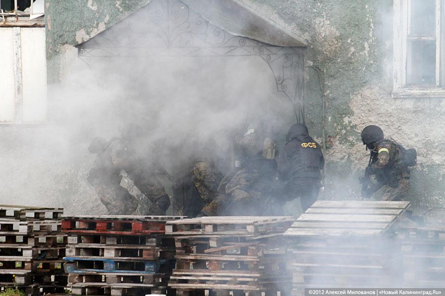 «Под флагом Башара»: фоторепортаж с антитеррористических учений