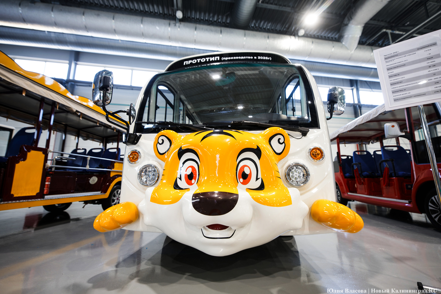 Автокомпоненты и электромобили: как на «Автоторе» новый кластер запускали (фото)