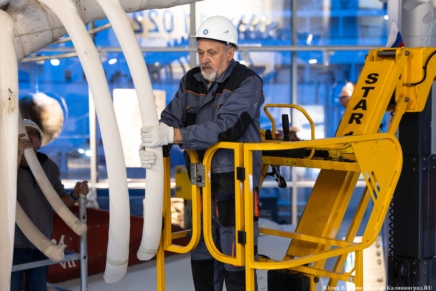 Первый «обитатель» «Планеты Океан»: скелет кашалота переезжает из «Глубины» (фото)