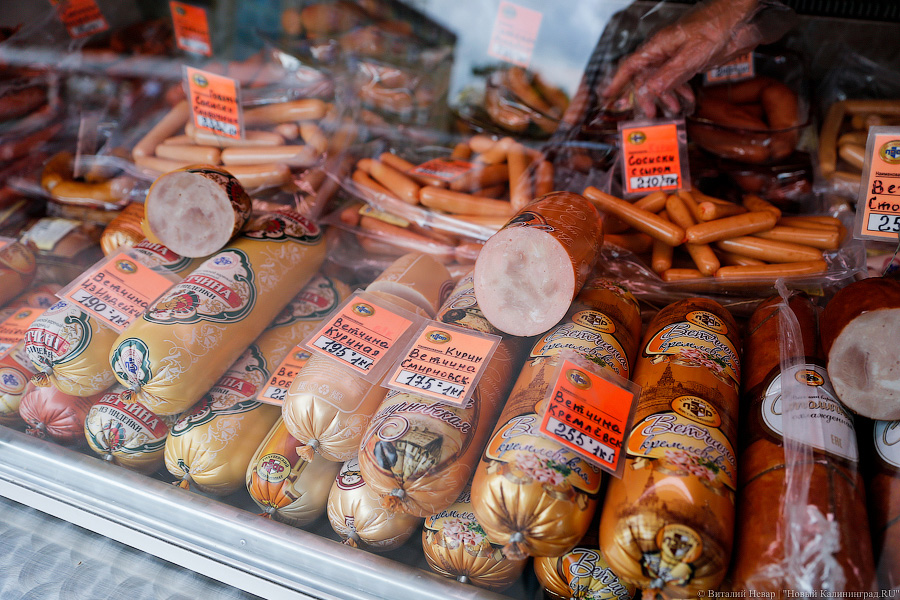 «Куда потом, воровать?»: Калининград на пороге новой палаточной войны