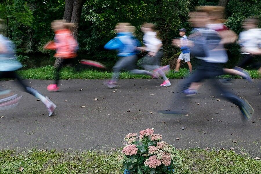 В воскресенье в Калининграде перекроют движение из-за  полумарафона «ЗаБег.РФ» (список улиц)