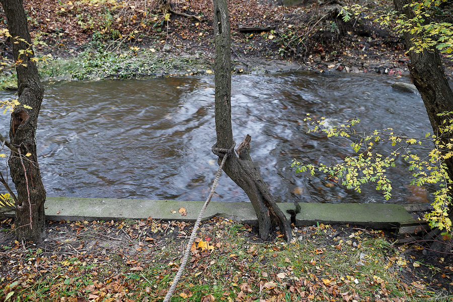 «Гадили всему городу»: Алиханов потребовал построить коллектор за счет компаний-нарушителей