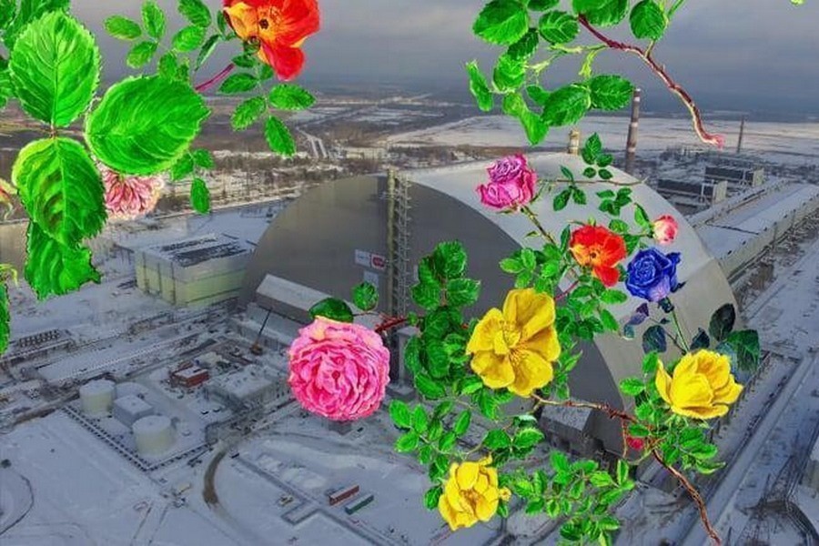 Фото предоставлено БФ ГЦСИ