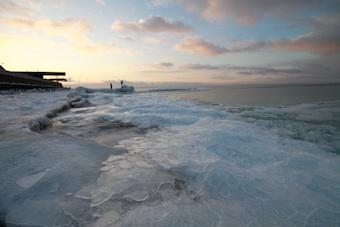 Зоопарк рекомендует кормить лебедей только при температуре ниже -15 градусов