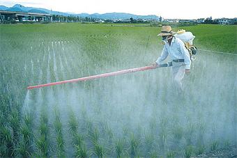 Под Краснознаменском обнаружено два бесхозных склада пестицидов