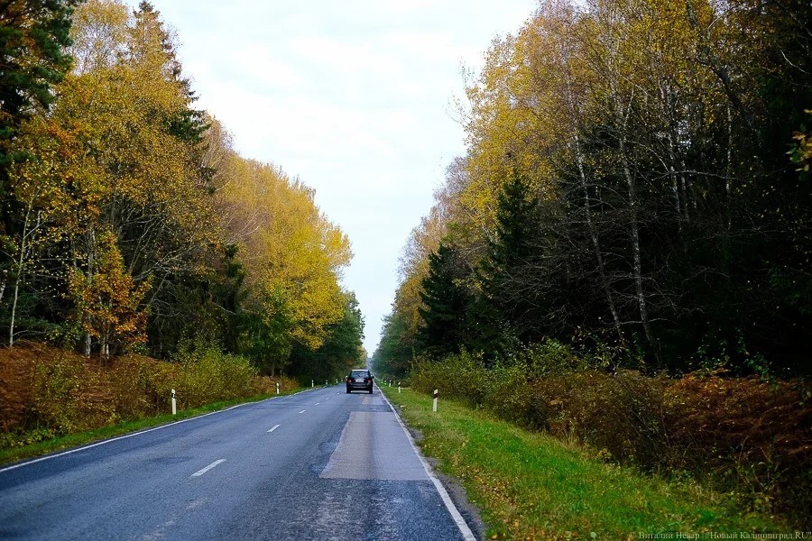 С 1 июля в Польше ужесточили правила дорожного движения