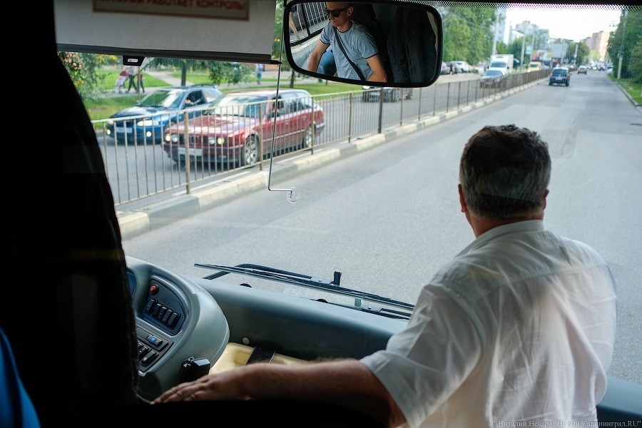 Автобус с розеткой: как в Калининграде испытывают новый вид транспорта