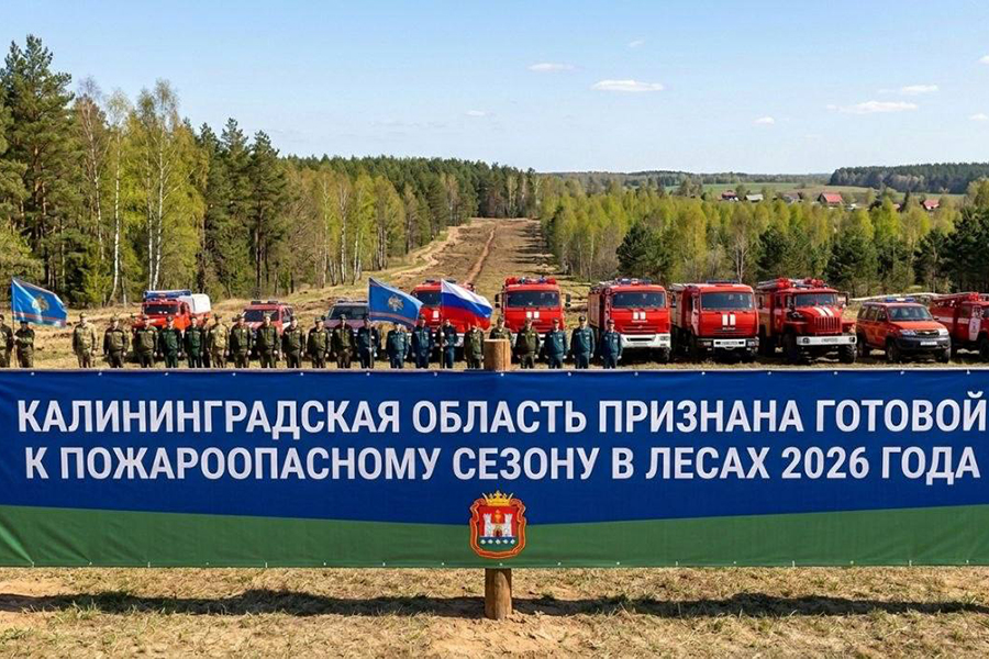 Калининградскую область признали готовой к пожароопасному сезону в лесах