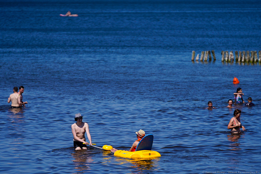 Тесные контакты: пляжи области в жаркие выходные были забиты туристами (фото)