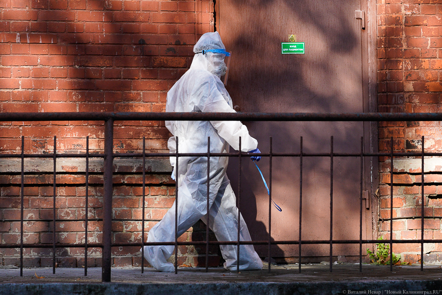 Академик Гинцбург допустил, что смертность от коронавируса вырастет в разы