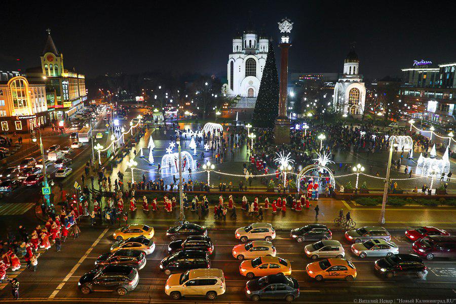 Калининград вошел в топ-10 городов РФ с самой высокой главной новогодней елкой