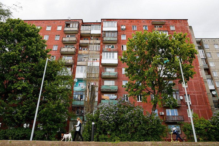 Фото — Виталий Невар, «Новый Калининград.Ru»
