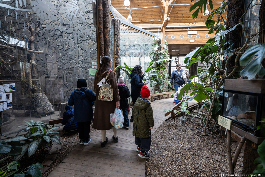 И пух, и перья: как в Калининградском зоопарке отметили День птиц (фото)