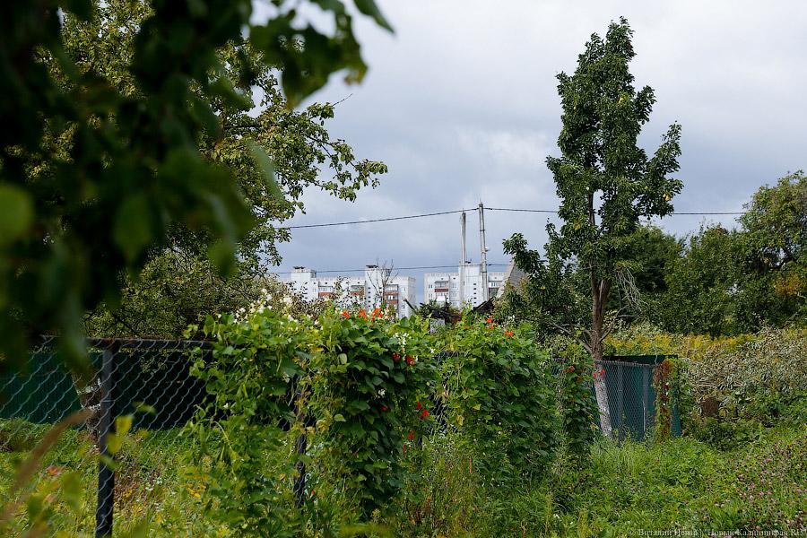 Фото — Виталий Невар, «Новый Калининград.Ru»