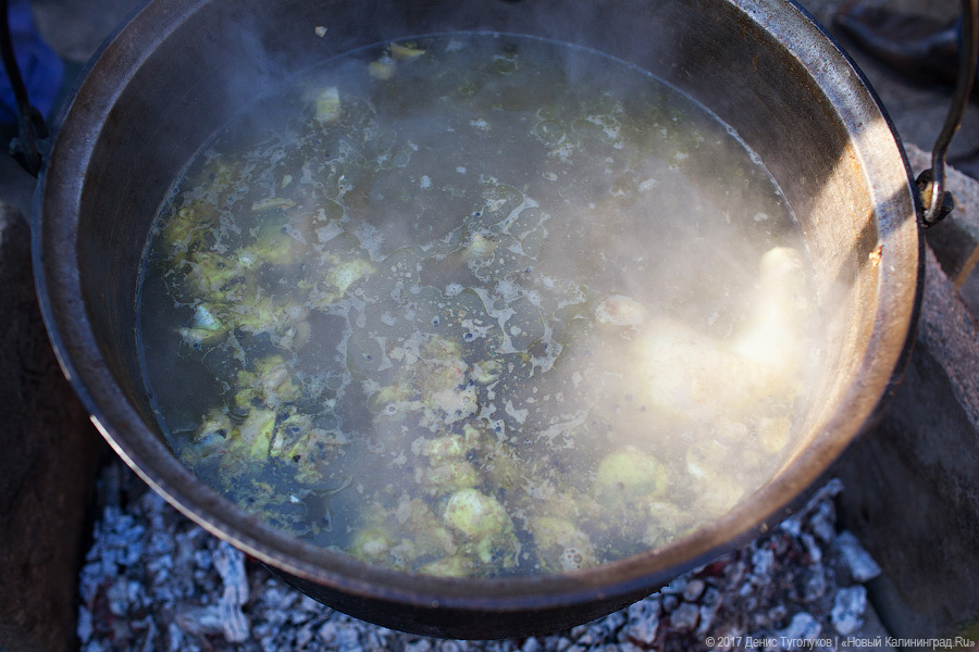 Рыба большая и маленькая: как прошёл День корюшки в Ниде