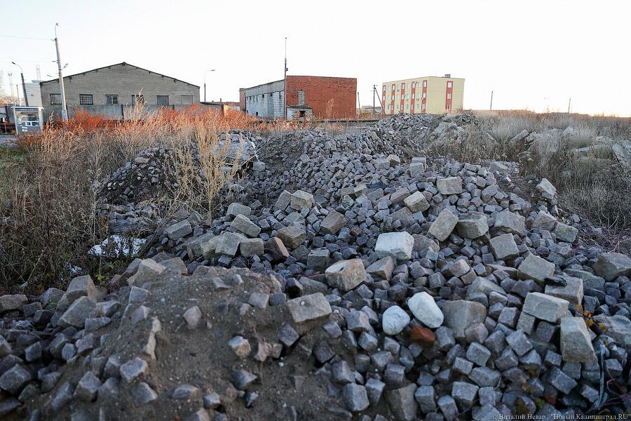 «Сделав шаг»: в Калининграде появились новые низкопольные автобусы (фото)