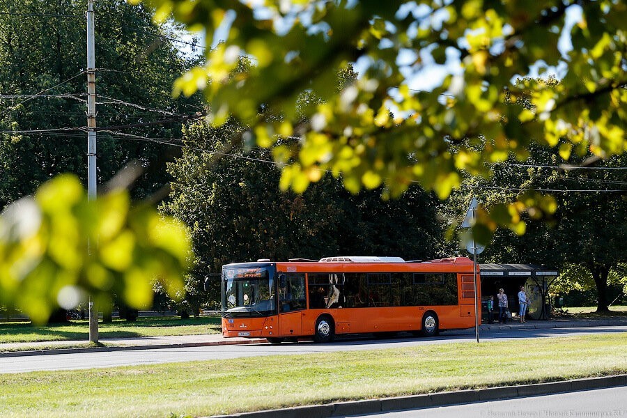 В мэрии объяснили очередную задержку с безналичной оплатой проезда