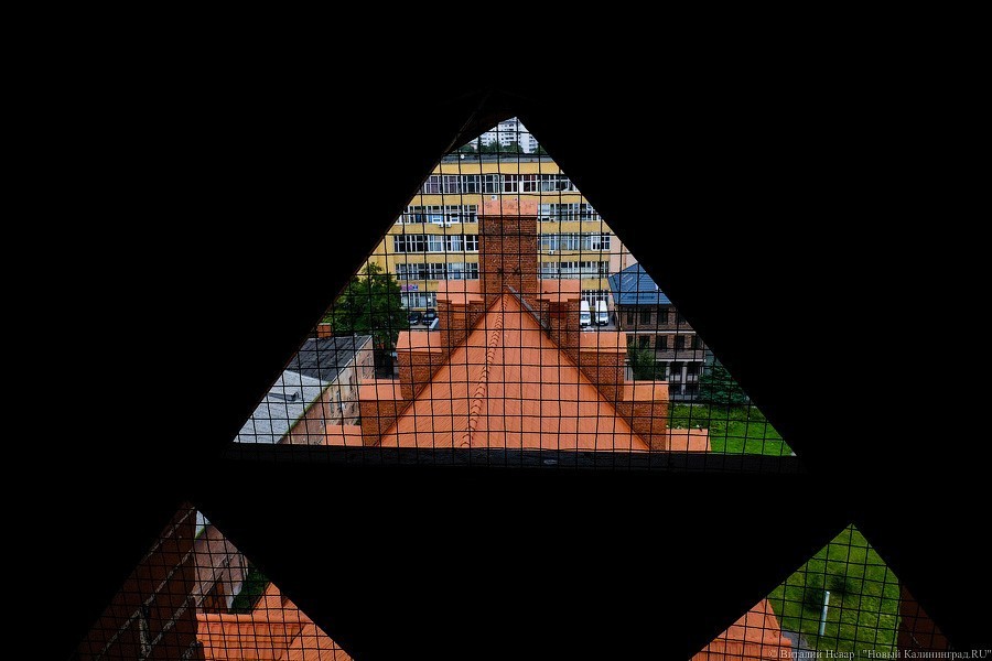 С личного завода кайзера: филармония хочет запустить экскурсии на колокольню (фото)