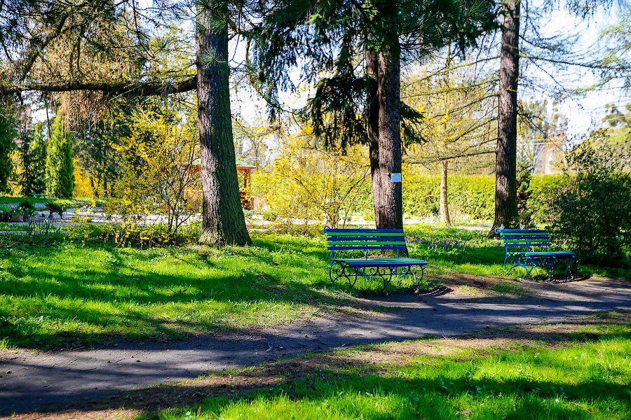 Пастораль ручной работы: весенний Ботанический сад