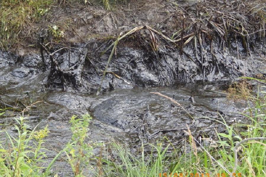 В Гурьевском районе прорвало нефтепровод, загрязнено около 1 га земель (фото)