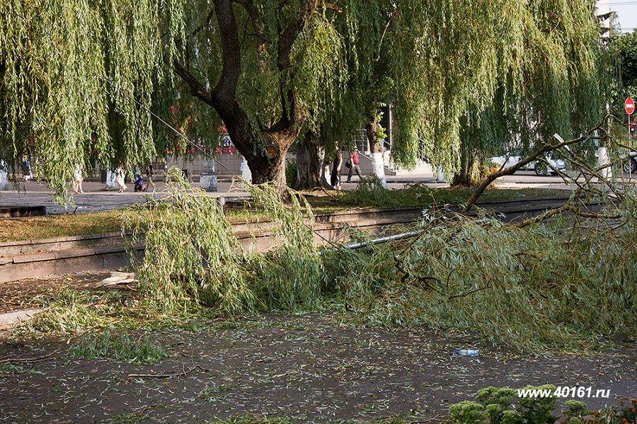 В Советске ураган повалил не меньше десятка деревьев (фото)