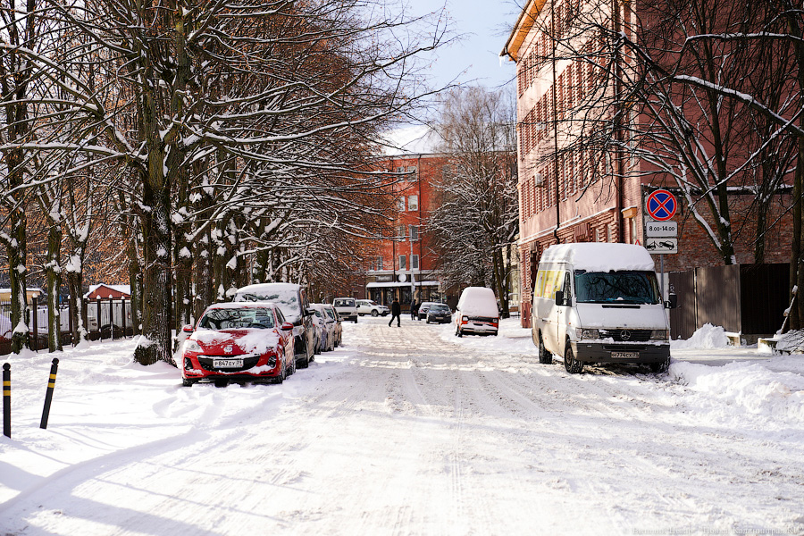 Горвласти намерены увеличить бюджет «Чистоты» на 50% — до 620 млн рублей