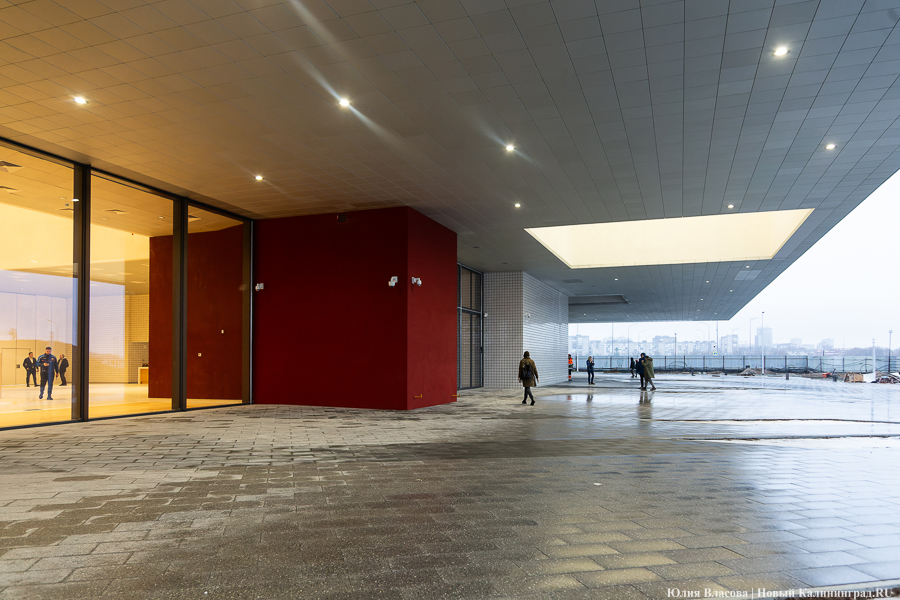 Фото: Юлия Власова / Новый Калининград