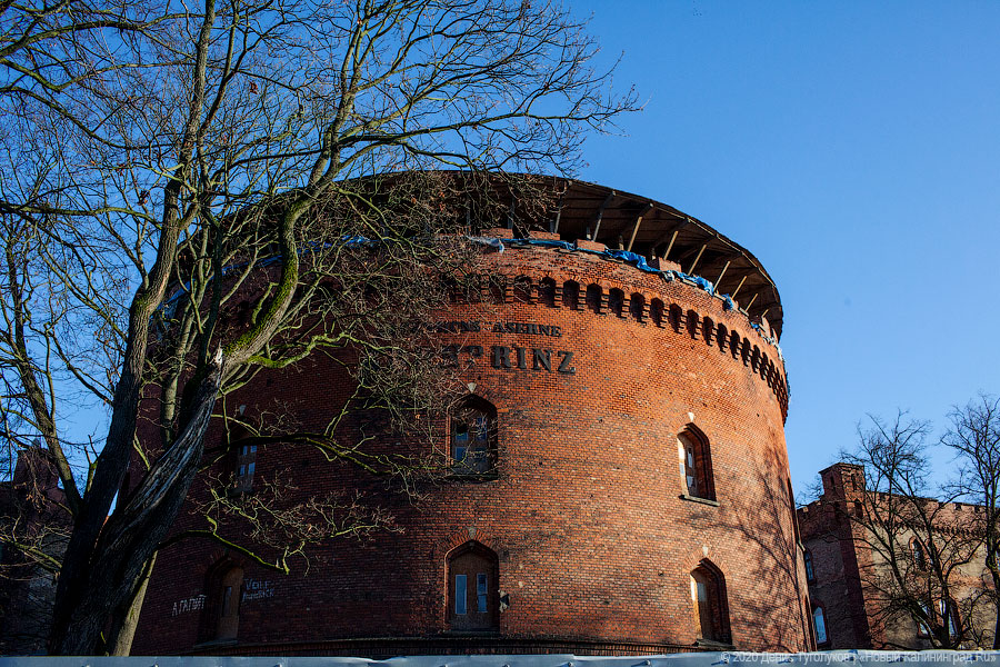 Фото: Денис Туголуков / Новый Калининград
