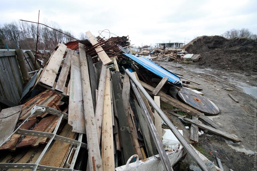 "Не молча поправит все": фоторепортаж "Нового Калининграда.Ru"