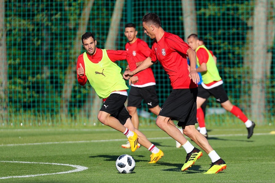 Сборная Сербии на базе в Светлогорске поддержала российских футболистов (видео)